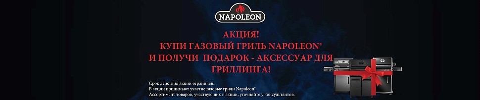 Газовые грили Napoleon в Красноярске
